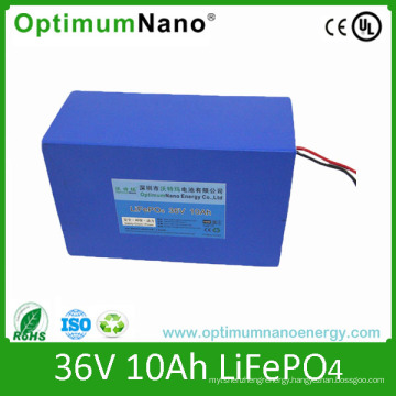 LiFePO4 36V 10ah Electric Bike Battery with Charger